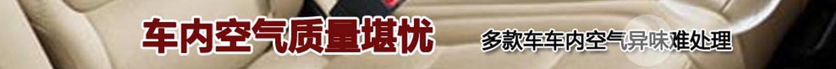 汽车异味