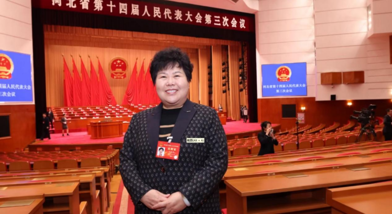 河北省人大代表王淑平：规范涉企执法 处分滥用职权者