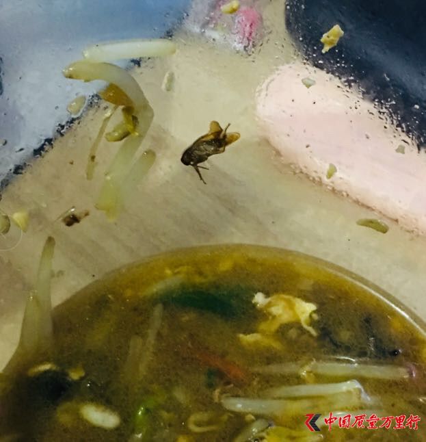 饿了么投诉量攀升  吃出蟑螂让顾客走保险理赔