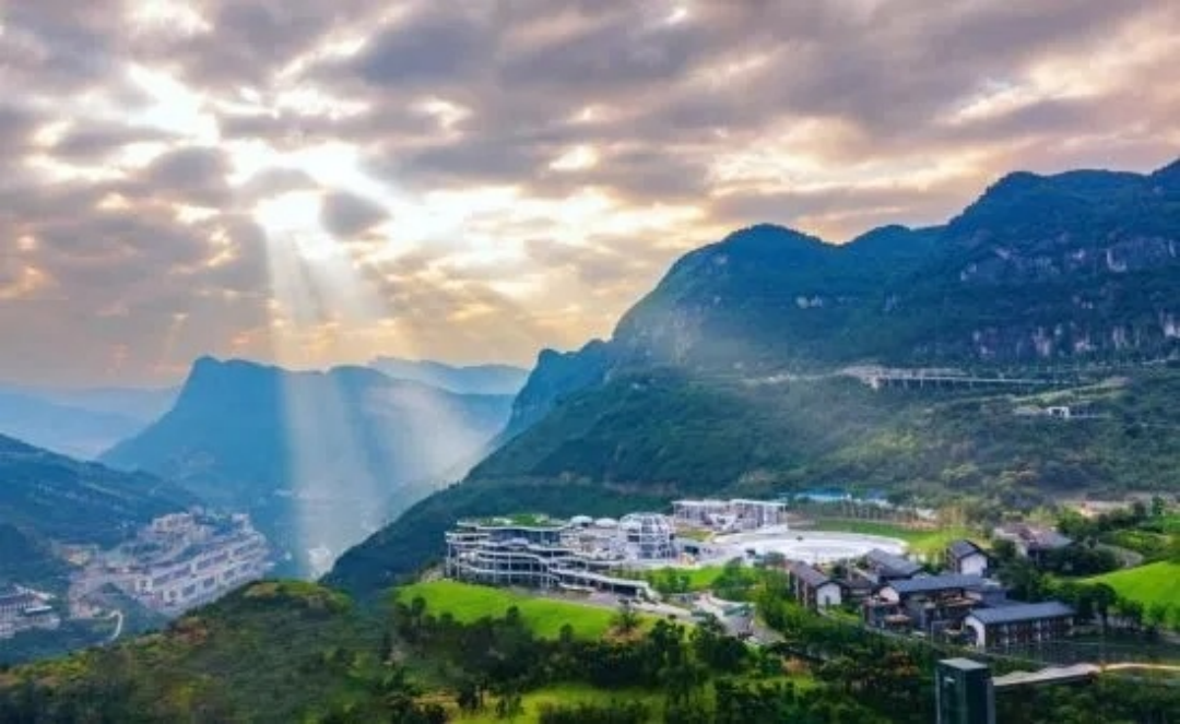 白酒酒庄的三重价值重构：阶梯经济、品质革命与场景升维