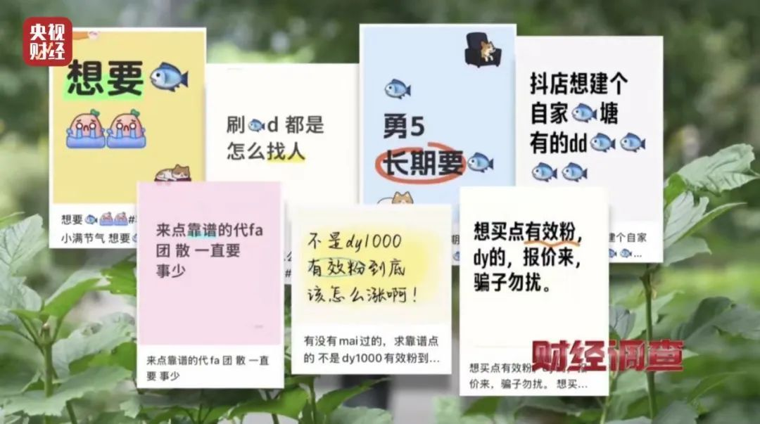 网络水军“黑生意”，充斥小红书、大众点评