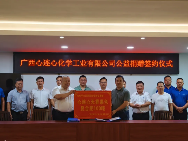 助力地方灾后重建 广西心连心进行公益捐赠