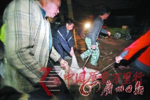 ����˽���ֳ����أ���ѹ�ø���ע��ˮ һͷע20��