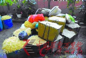 �������ղ���ǧ�ﶾ��ѿ �������ػ��¶�ͯ����