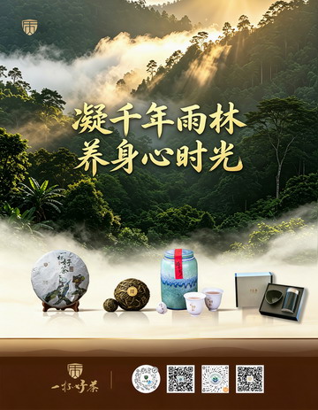 一杯好茶