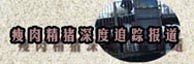 瘦肉精猪